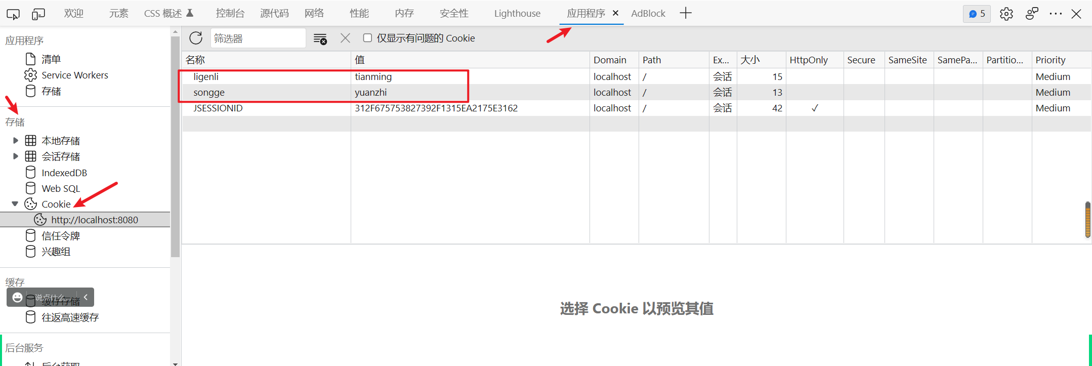 浏览器 Cookie 示例